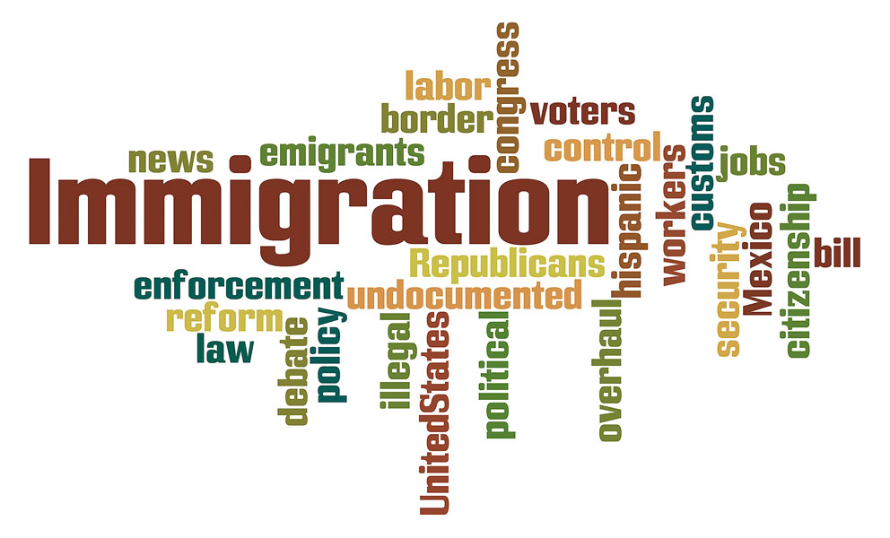 illegal immigration pros and cons