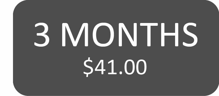 In County 3 Month Subscription