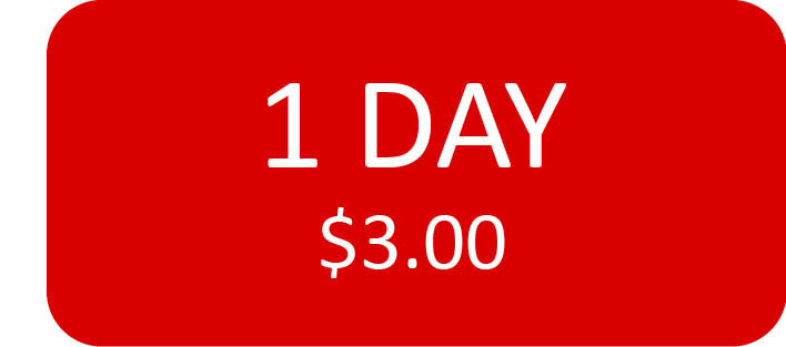 Online Only 1 Day Subscription