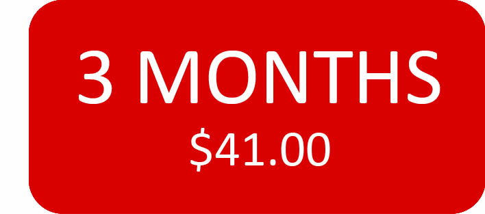 Online Only 3 Month Subscription