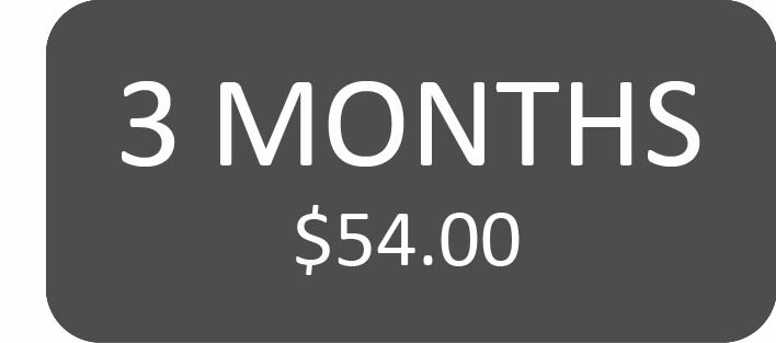 Out of County 3 Month Subscription