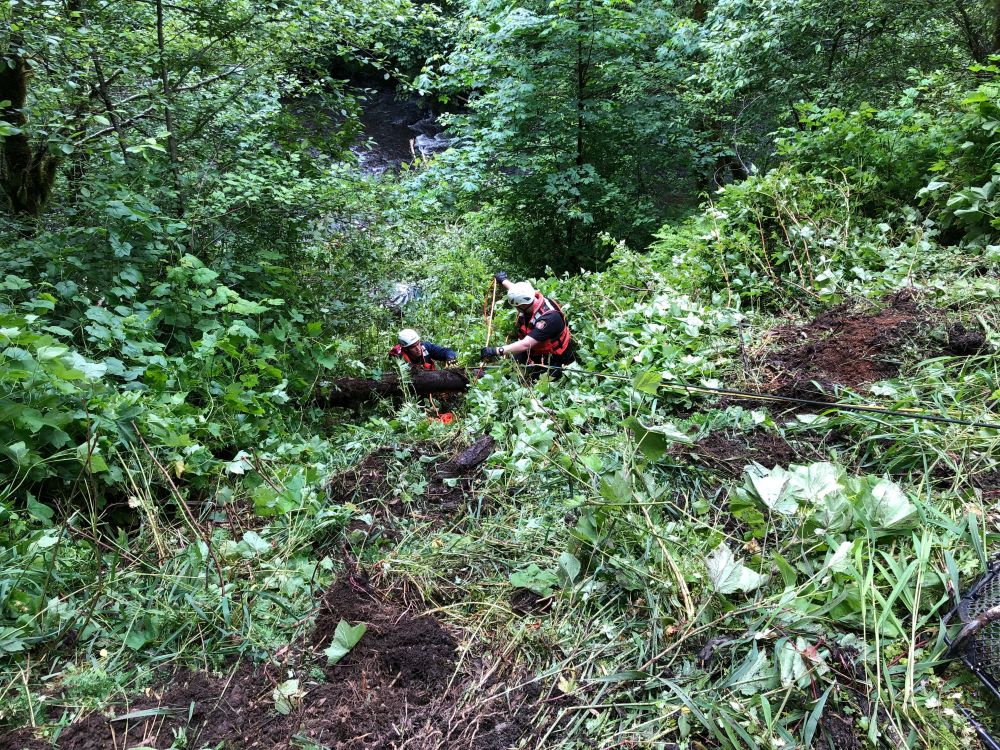 Willamina Creek Road crash claims two lives, including Willamina resident