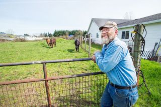 Marcus Larson/News-Register##Longtime Dayton resident Wayne Beckwith talks about his love for working with mules. He’ll show them off Saturday at Farm Fest, an annual plowing competition at the Yamhill Valley Heritage Center. Marcus Larson/News-Register##Longtime Dayton resident Wayne Beckwith talks about his love for working with mules. He’ll show them off Saturday at Farm Fest, an annual plowing competition at the Yamhill Valley Heritage Center.