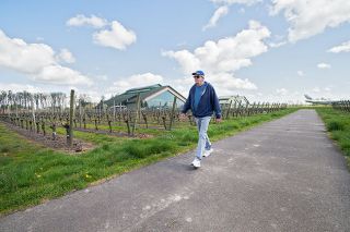 Marcus Larson/News-Register##Larry Hood walks along the path that circles through the vineyards on the Evergreen Aviation Museum campus. The paved path is walkable in all weather. Marcus Larson/News-Register##Larry Hood walks along the path that circles through the vineyards on the Evergreen Aviation Museum campus. The paved path is walkable in all weather.