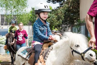 Marcus Larson/News-Register file photo##Three-year-old Mia Brown enjoys a ride on Blizzard the pony during Baby Animal Day at Buchanan Cellers in May. Palanuk Enterprises near Grand Ronde is taking its ponies to several regional events this summer, including next week’s Old Fashioned Fourth of July celebration in Willamina. Marcus Larson/News-Register file photo##Three-year-old Mia Brown enjoys a ride on Blizzard the pony during Baby Animal Day at Buchanan Cellers in May. Palanuk Enterprises near Grand Ronde is taking its ponies to several regional events this summer, including next week’s Old Fashioned Fourth of July celebration in Willamina.