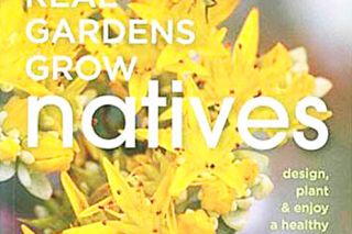 Portland author Eileen Stark will be at the library from 10 am to noon to sign her book, “Real Gardens Grow Natives.”