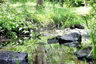 Rockne Roll / News-Register##Cozine Creek runs through southwest McMinnville. Rockne Roll / News-Register##Cozine Creek runs through southwest McMinnville.