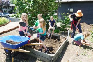 Starla Pointer / News-Register##
Students dig in the McMinnville Montessori School garden, which they updating in honor of the late Maria Eustrom. She taught at the school for more than 30 years before she died of cancer earlier this year. Starla Pointer / News-Register##
Students dig in the McMinnville Montessori School garden, which they updating in honor of the late Maria Eustrom. She taught at the school for more than 30 years before she died of cancer earlier this year.