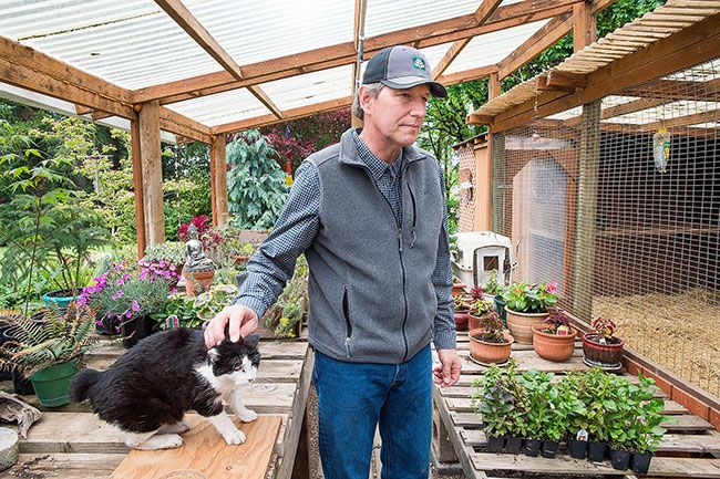 Marcus Larson / News-Register##John Castle and Dewdrop in one of Castle’s small greenhouses. He enjoys propogating plants here. Dewdrop likes watching the chickens in the adjacent coop.