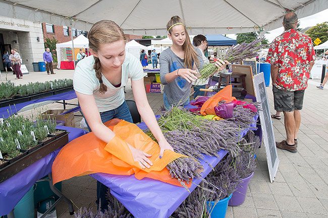 Marcus Larson/News-Register##Lavender Festival volunteers Diana Lewis and Abby Durrell work to create bouquets of lavender for visitors to purchase.