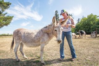 Rockne Roll/News-Register##Jessica Whiting, here with Annabelle the donkey, has loved animals since childhood and has taken in a variety of species on her farm near Carlton. She says being with them is like therapy. Rockne Roll/News-Register##Jessica Whiting, here with Annabelle the donkey, has loved animals since childhood and has taken in a variety of species on her farm near Carlton. She says being with them is like therapy.
