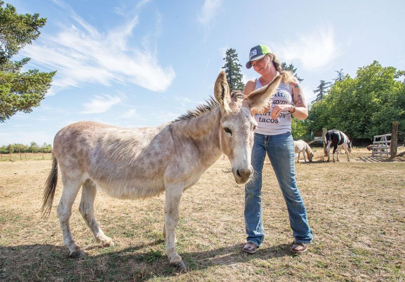Rockne Roll/News-Register##Jessica Whiting, here with Annabelle the donkey, has loved animals since childhood and has taken in a variety of species on her farm near Carlton. She says being with them is like therapy.