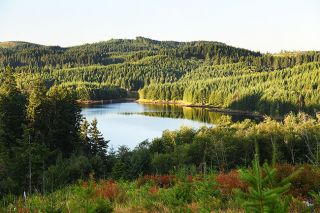 Rusty Rae / News-Register##McGuire Reservoir in the Coast Range is surrounded by forestland managed by Mac Water & Light. Rusty Rae / News-Register##McGuire Reservoir in the Coast Range is surrounded by forestland managed by Mac Water & Light.