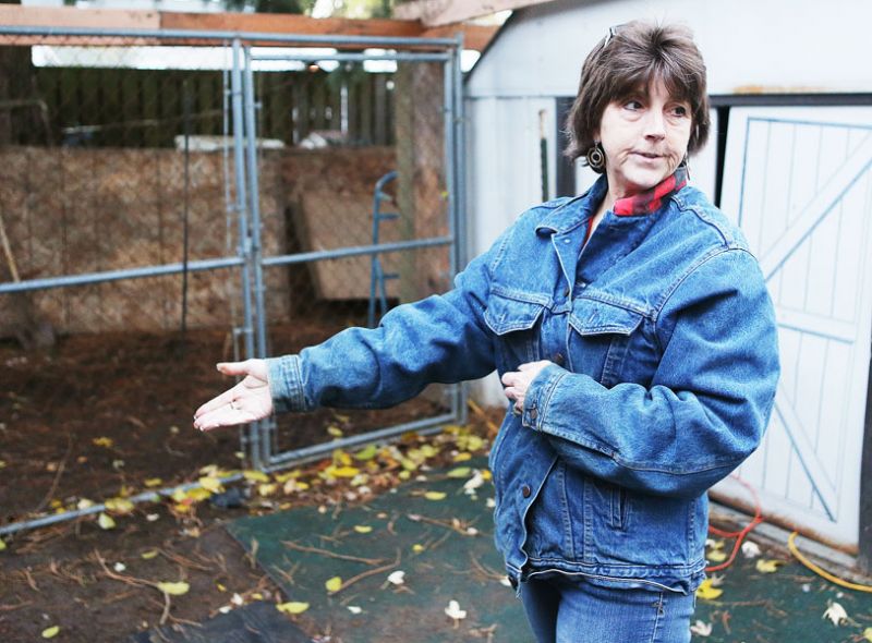 Rockne Roll/News-Register##Kimball Kiess describes the improvements made to her backyard south of McMinnville to help facilitate her animal rescue operation. Kiess holds lost pets found and posted to the Yamhill County Pet Heroes Facebook page until they can be reunited with owners.