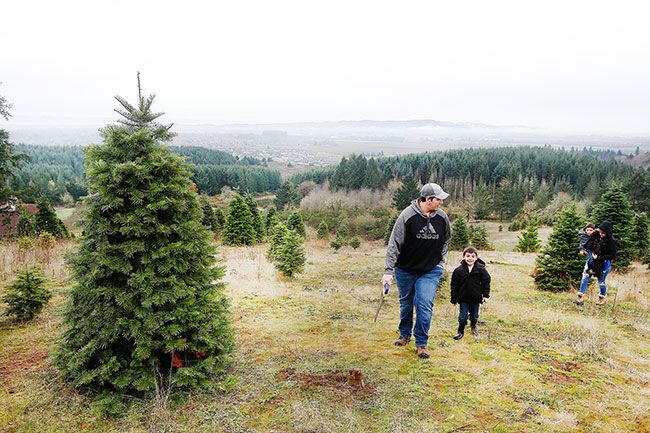 Rockne Roll/News-Register
From left, Andrew Bellinger, 5-year-old Ashton Bellinger, 2-year-old Archer Bellinger, and Angelica Bellinger search for a tree to decorate their home at Fox Ridge Tree Farm in McMinnville.