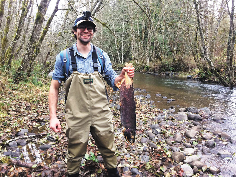 Submitted photo##Oregon State University student Andrew Chione holds up a Coho salmon carcass found on the Upper North Yamhill River during a Coho Creek Hike. Since 2012, community volunteers, student interns, and local landowners have helped the Greater Yamhill Watershed Council discover where runs of wild Coho salmon are spawning across the Yamhill River Watershed.