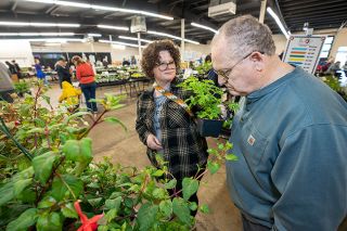 Rachel Thompson/News-Register file photo##At the Yamhill County Master Gardeners plant sale last year, Heather Flowers of Lafayette looks for inspiration for her new kitchen garden, with help from her father, Robert, of McMinnville. This year’s sale will be held Saturday and Sunday, May 3 and 4, at the Yamhill County Fairgrounds. Rachel Thompson/News-Register file photo##At the Yamhill County Master Gardeners plant sale last year, Heather Flowers of Lafayette looks for inspiration for her new kitchen garden, with help from her father, Robert, of McMinnville. This year’s sale will be held Saturday and Sunday, May 3 and 4, at the Yamhill County Fairgrounds.