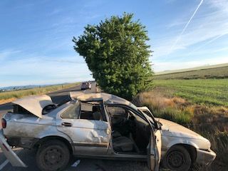 Photos courtesy Oregon State Police##A McMinnville man was arrested following a single-vehicle crash early Sunday morning south of Amity in Polk County.