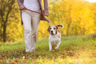 © Can Stock Photo/Halfpoint## © Can Stock Photo/Halfpoint##