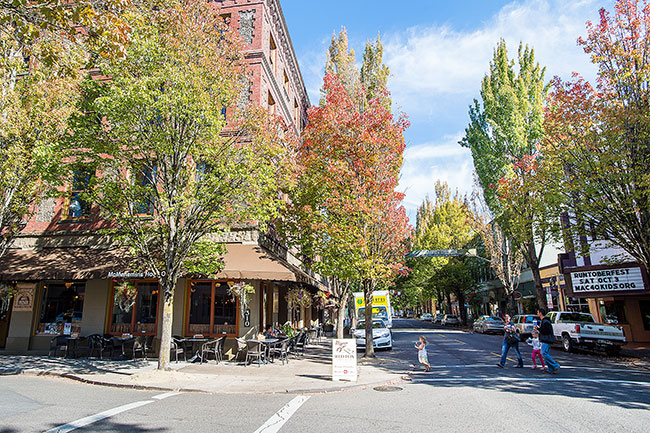 ‘A lot of the trees are going to have to go’