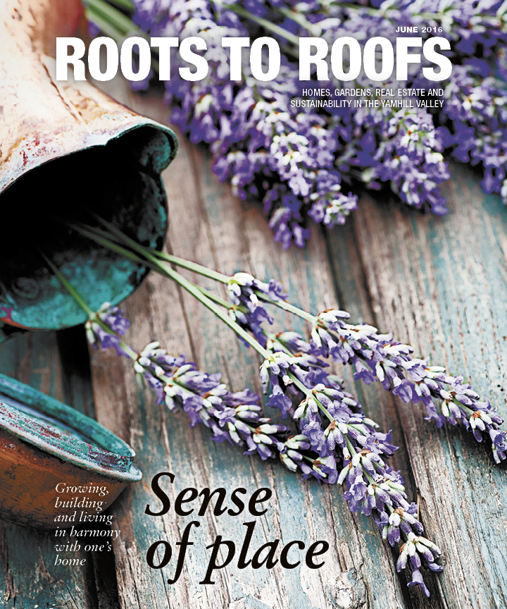 Roots to Roofs June 2016