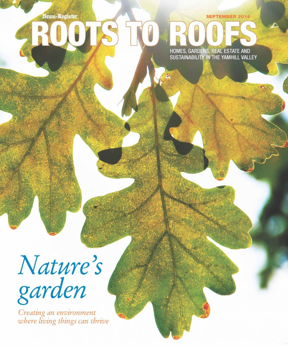 Roots to Roofs September 2016