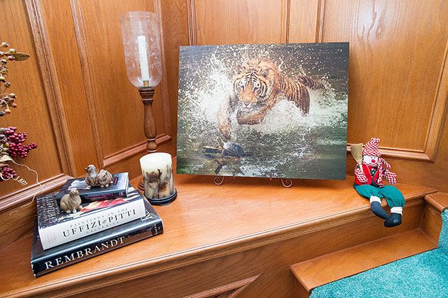 Marcus Larson/News-Register##Tigers are among Goodrich’s favorite subjects. She uses a very long lens when photographing big cats in order to capture their natural behavior.