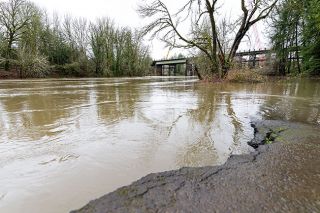 Marcus Larson/News-Register##Following heavy rain this week, the Yamhill River is swelling near the old Joe Dancer Park boat ramp and in other places as it passes through the county. Minor flooding in places is possible by midday today.