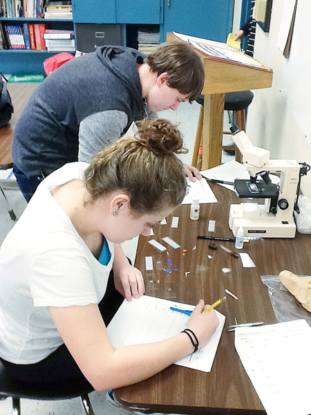Submitted photo##Morgan Conway, foreground, and Journey Drover analyze forensic evidence in a career course at McMinnville High School. The pathway introduces students to a variety of fire and law enforcement jobs.