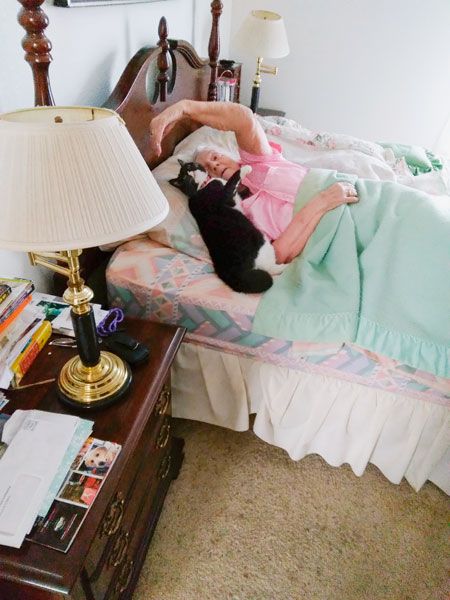 Submitted photo##
Millie Mae, Lisa Henry s cat, pays a visit to neighbor Darrell  Dee  Evans. The older woman enjoys playing with and cuddling the feline, who stops by almost every day.