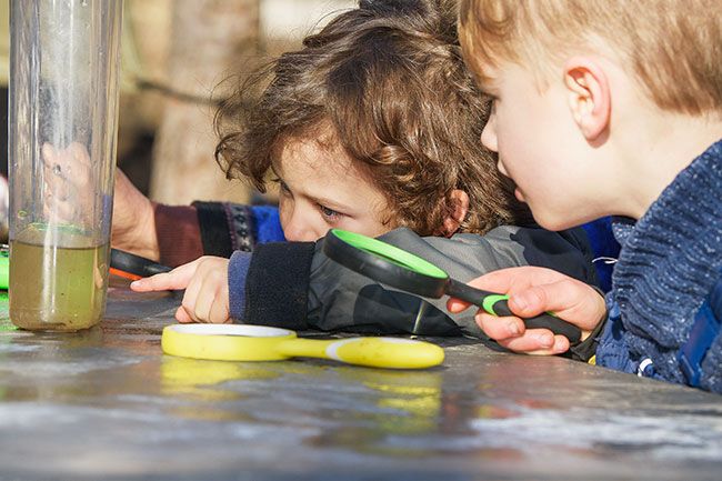 Rusty Rae/News-Register
##
Max Kendall and Lev Martin examine pond water to see the mysterious creatures that live in aquatic environments.