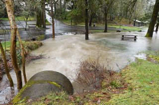 Rusty Rae / News-Register##
Water rushes along Cozine Creek, swollen by heavy rain and melting snow. McMinnville s Lower City Park was closed for two days because of the flooding.