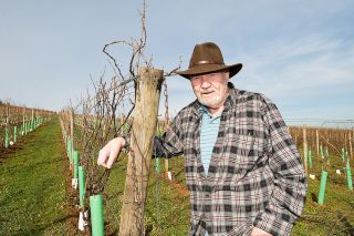 News-Register file photo##In this 2011 photo, Dick Erath checks early spring growth in his vineyard in the Dundee Hills. A farmer at heart, he kept meticulous records of each crop.
