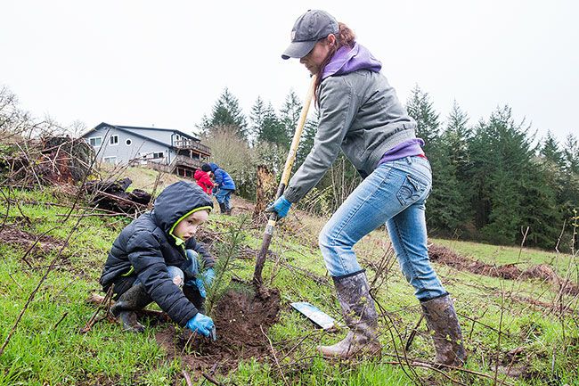 Marcus Larson/News-Registe##Siobhan Skaer and her son, Daniel, 5, work together to plant trees at Goose Pond Farm near Yamhill. More than 50 boy and girl scouts and their parents planted Douglas fir seedlings Saturday.