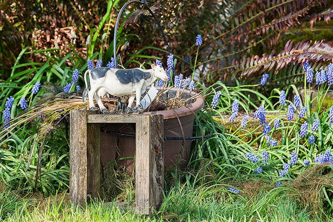 Marcus Larson/News-Register

##
Whimsical items such as a cow can be spotted in front yard of Beth and Vic Downs.