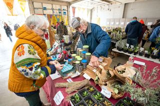 Rachel Thompson/News-Register##Greg Darr of Majestic View Farm in Falls City explains the benefits of his wife Deb’s lavender products to Amity Daffodil Festival organizer Erin Rainey.