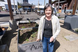 Marcus Larson/News-Register ## Jan Allen is a new volunteer with Edible Landscapes of Yamhill County, or Edible Yamhill for short, which encourages growing vegetables and fruits wherever possible. Allen, who runs Heater Allen Brewing with her family in the Gateway District of McMinnville, is hoping to learn more about plants when she helps with Edible Yamhill’s container demonstration gardens along Alpine Avenue this summer.
