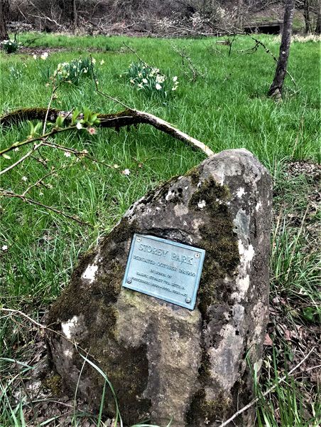 Kirby Neumann-Rea/News-Register##Storey Park plaque, next to Cozine Creek, is one of two places honoring Professor Ralph Storey, the longtime faculty member and Linfield graduate, Class of 1895.