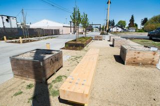 Marcus Larson/News-Register##Alpine Avenue s new look includes planters, picnic benches and pedestrian-friendly paths.