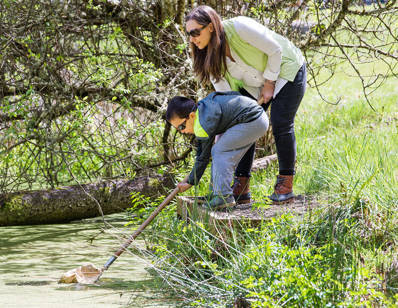 Marcus Larson/News-Register##
Donna Montoya helps her son Damian collect water samples from the Miller Woods pond to check later for lifeforms to study.