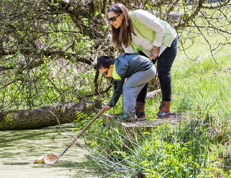 Marcus Larson/News-Register##
Donna Montoya helps her son Damian collect water samples from the Miller Woods pond to check later for lifeforms to study.