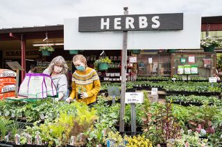 Marcus Larson/News-Register##Sarah Galey and her daughter Raylee Heiden search for herbs to plant in their home garden while shopping at Kraemer’s Garden Center.