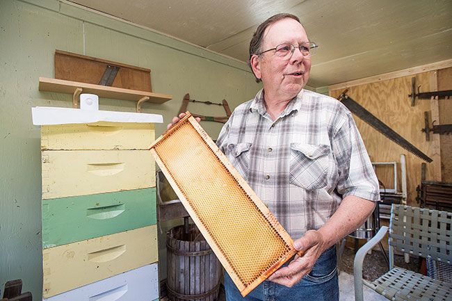 Marcus Larson/News-Register##
Dave Merz, who runs Carlton Valley Honey, offers three varieties in his shop, all named for the flowers from which his bees collect nectar: poison oak, forest flowers and blackberry.