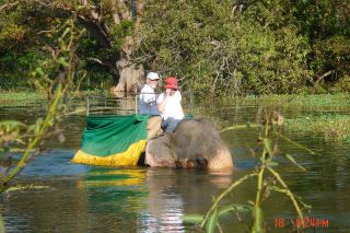 Submitted photo##John Francis and Caye Poe riding an elephant in India during one of their many world travels.