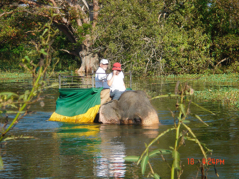 Submitted photo##John Francis and Caye Poe riding an elephant in India during one of their many world travels.