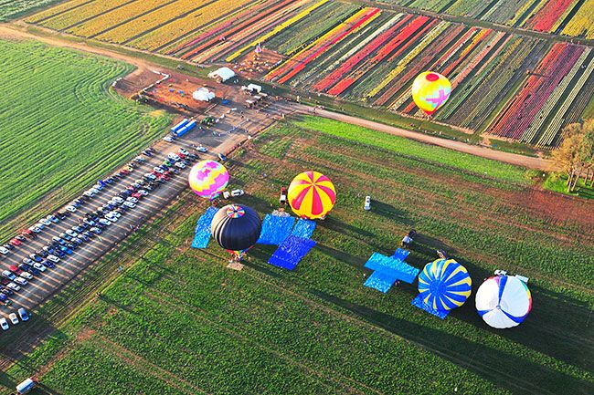 Submitted photo / Leroy Brown ## Shooting from the sky allows a different perspective on hot air balloons.
