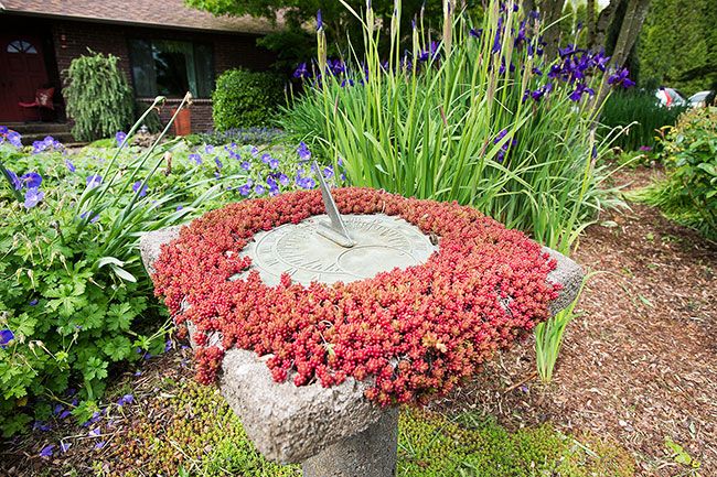 Marcus Larson / News-Register##Castle, who works at Broadmead Nursery, enjoys new types of plants and adding color to his home garden.