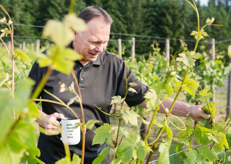 Rockne Roll/News-Register##Youngberg Hill owner Wayne Bailey inspects vines in the Jordan Block of his vineyard.