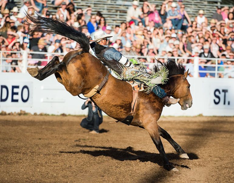 Marcus Larson/News-Register##
Bareback rider Anthony Thomas claimed first place with a score of 82.5 on the opening night of the St. Paul Rodeo Friday, July 1.