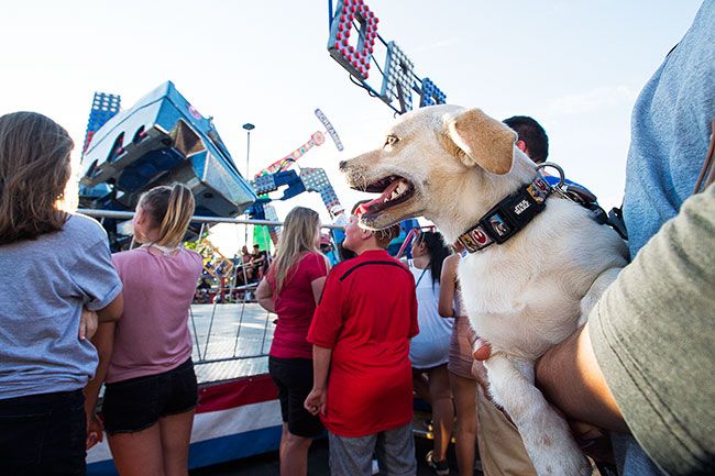 Marcus Larson/News-Register##
Nacho the dog watches patiently as his owner enjoys  a Turkey Rama carnival ride.